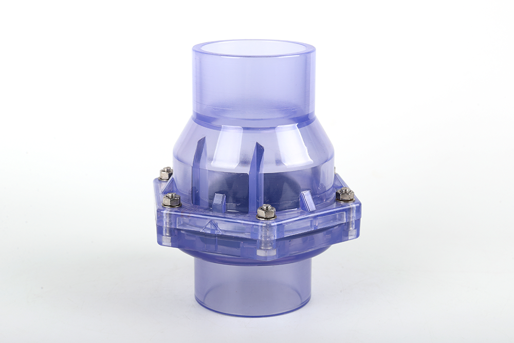 麻洋镇透明翻板式止回阀